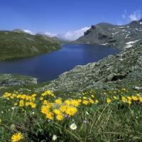 Альпы продвигают летний туризм