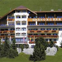 Отель SASSONGHER